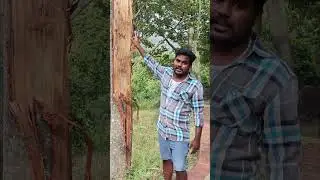 chinna suruli water falls