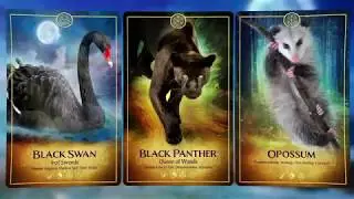 The Ark Animal Tarot & Oracle Deck