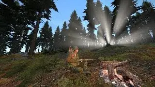 ☠ DayZ Standalone: An attempt at Cooking