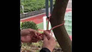 Daisy Chain Hitch