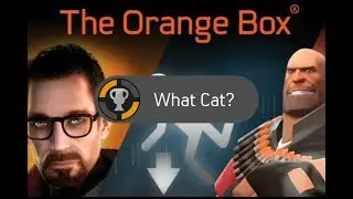 The Orange Box - Half Life 2 - What Cat? Achievement Guide