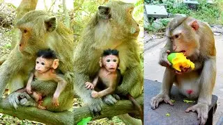 Best video of lovely baby Bitzy asks mum go out for playing very brave.