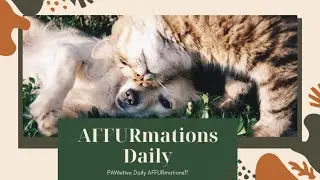 AFFURmations Daily 🐶 | Inspiring Affirmations with Dogs in Nature