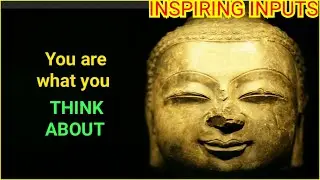 ☑️Important Human Values☑️Buddha Motivational Positive Wisdom Quotes☑️by INSPIRING INPUTS