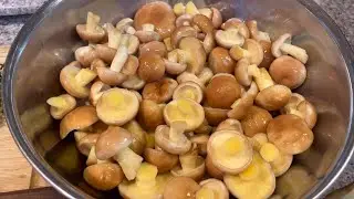🍄&zwj;🟫 How to identify and process Slippery Jack mushrooms, how to pickle mushrooms#nature #mushroom