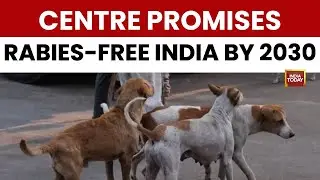 Breaking News: Centre Promises Supreme Court To Eliminate Rabies From Dog Bites By 2030