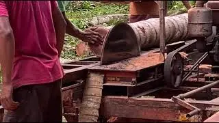 Penggergajian kayu kelapa menggunakan serkel rakitan #coconut  #sawmillrakitan #mesinpemotongkayu 