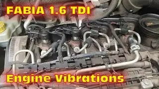 Skoda Rapid/Fabia1.6 TDI Engine Vibration / Injector problem