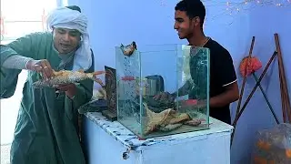 راح يشترى ملوحه مستحملش الصدمة 😂😂