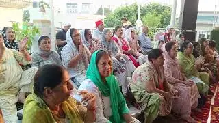 Hajri master tara singh nagar KAMLi HO GAi