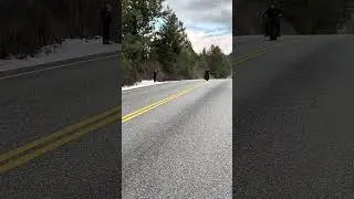 My bike is too loud #minibike #predator #loud #fun #junk