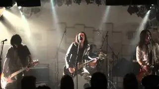 「Motor City Cobra」 sugarbuzz