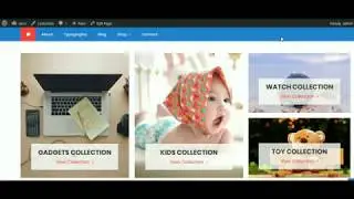 Easy Store Pro Category Collection Widget