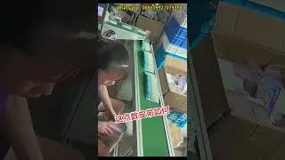 Automatic conveyor with counting system