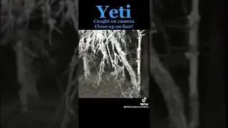 Yeti caught on camera #bigfoot #shorts