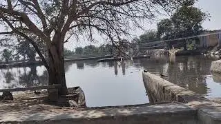 Pond my village / Hamare Ganv Ka Johad
