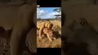the same video that got me crying
