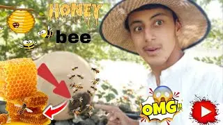 Making place for honey bees 🐝🐝🥰.