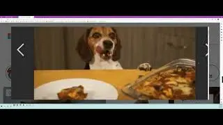DOG FOOD 🐶  ~ #StacksAMilli 🐕🐩🐕  (Music Video) 🦺