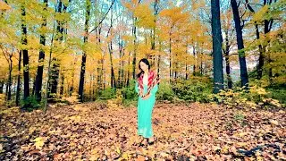 Incredible Fall Foliage of Canada - Autumn Color in Toronto 【4K】