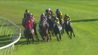 TJ Smith Stakes - 2018
