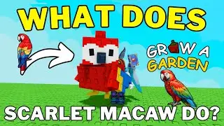 What Does Scarlet Macaw Do in Grow a Garden | How To Get Scarlet Macaw Pet in Grow a Garden | Roblox