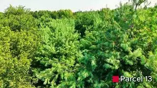 Ohio Timber & Build Sites | Parcels 11, 13&ndash;15 Land Tour | Noble County Land For Sale
