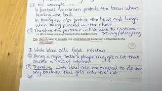 W1 HW feedback Skeletal system structure, function & classification