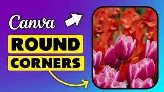 Как скруглить углы изображения в Canva