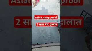 Asian damp proof 2 साल बाद #dampproof #asianpaint #asiandampproof #dampproofing #homepaint #paint