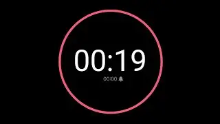 19 Second Countdown Timer / iPhone Timer Style