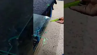 5mm sliding glass wheel cutting #glasscutting #trending #viralvideo #live #glass #shortvideo #shorts