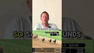 Curlin Stakes Top Picks & Betting Strategy