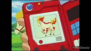 Ponyta Pok&eacute;dex Entry..wmv
