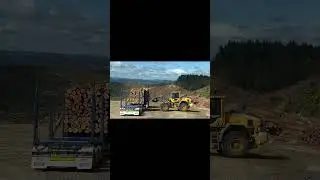 Cream load of Douglas Fur From The Bush ￼#newzealand #truckdriver #loggingtruck #forestry #truck