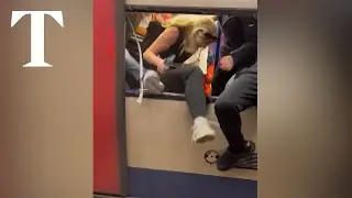 Tube passengers smash windows as smoke fills London Underground train