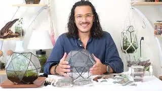 How to make bioactive terrarium