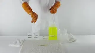 How to Remove Urine from Carpet