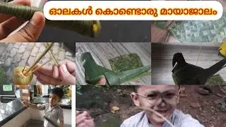 ഓല കൊണ്ടുള്ള കളിപ്പാട്ടങ്ങൾ കണ്ടാലോ... simple coconut tree leaf Craft #toys #faizcraftandfood