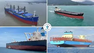 Synergy Marine Group Welcomes 4 New Vessels | Trusted, Global Ship Management Excellence