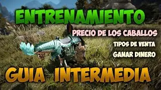 Guía Entrenamiento - #2 Intermedia (2019) - BDO - Como Ganar Dinero con Caballos - Black Desert 2019
