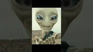 👽 Paul the Alien Brings a Bird Back to Life&hellip; Then Eats It 😂 | Paul (2011)