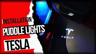 Trixie gets puddle lights. 2021 Tesla Model 3 upgrades and accessories