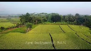 Farm Instrumental Music | Calm Music|Peaceful music | Soul Music | Positive Energy