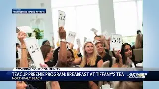 Programs to support preemies and their parents