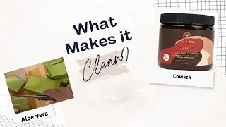 2024 Update: My Favourite Shampoo Alternatives