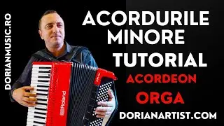 Minor Chords & Harmonic Progression Tutorial | Music Theory Made Easy (Bonus Lesson)