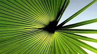 Bali meditation mix - Antaeus