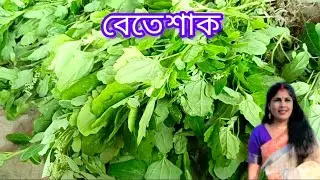 বেতে সাকের রেসিপি# এইভাবে রান্না করলে খেতে সুস্বাদু লাগে#বেদে শাকের রেসিপি