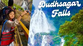Dudhsagar Waterfall Adventure | जंगल के बीच झरना